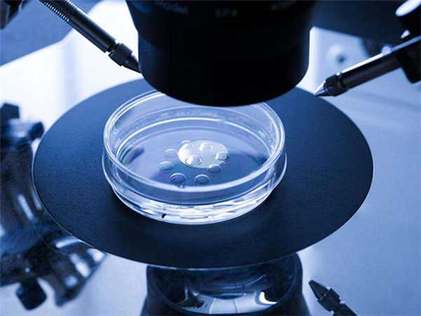 试管婴儿的卵子有多重要、胚胎移植决定啥？